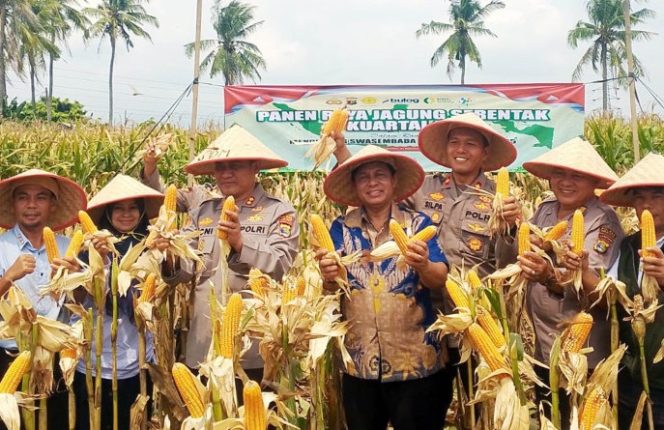 
 Sekda Apresiasi Sinergi untuk Ketahanan Pangan Nasional di Panen Raya Polres Lamsel