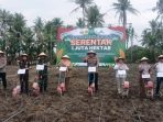 Dukung Swasembada Panagan 2025 Pemkab Lamsel Dan Forkopimda Lakukan Penanaman Jagung Serentak