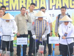Wakapolri dan Kapolda Lampung Dampingi Menko Pangan Zulkifli Hasan Tanam Jagung di Lampung Selatan