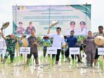 Pemkab Lamsel Dan Kejati Lampung Dorong Ketahanan Pangan Dengan Ekpansi Padi Biosalin