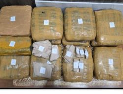 Polda Lampung Ungkap Peredaran Ganja 13,8 Kg di Lampung Selatan, Satu Pengedar Diamankan