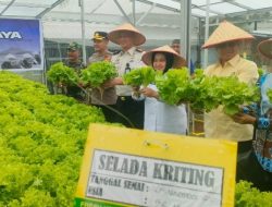 Lapas Rajabasa Panen Raya , Ditjenpas Lampung, Hasil Penjualan di Sumbangkan Korban Bencana Sumatera