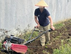 Gemburkan Lahan, Tanam Harapan: Warga Binaan Lapas Muara Tebo Kembangkan Pertanian Produktif