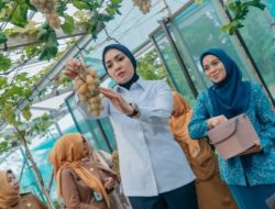 Park, Ketua TP.PKK Provinsi Lampung Dorong Pemanfaatan Pekarangan Produktif