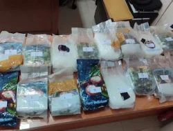 Polda Lampung Gagalkan Penyelundupan 17,29 Kg Sabu di Bakauheni, Disimpan dalam Ban Serep