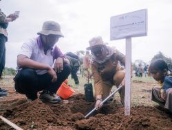 Lampung Timur Dorong Cocoa Agroforestry Berkelanjutan, Perkuat Ekonomi Warga Sekitar Hutan