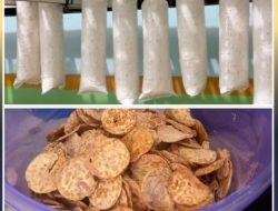Raja Snack” Tembus Pasar, Kripik Tempe Renyah Karya Tangan Terampil Warga Binaan Siap Dipesan!