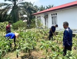 Dukung Ketahanan Pangan, Warga Binaan Lapas Muara Tebo Maksimalkan Lahan SAE Selama Ramadan