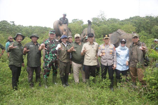 
 Pemerintah Bangun Pembatas 138 Km di Way Kambas