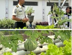 Inovasi Pertanian Modern, Semangka Hidroponik Tumbuh Subur di Tangan Warga Binaan Lembaga Pemasyarakatan Kelas I Bandar Lampung