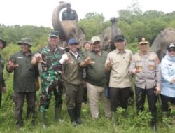 Penguatan Desa Penyangga Di Wilayah Konservasi TNWK