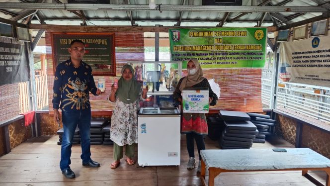 
 Hasil Ternak Melejit, UMKM Susu Kambing “RasMilk” Tumbuh Pesat Berkat Dukungan Pembiayaan KUR BRI Unit Sukoharjo Pringsewu Lampung