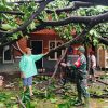 Babinsa Pantau Kondisi Bandar Lampung Pasca Hujan disertai Angin Kencang