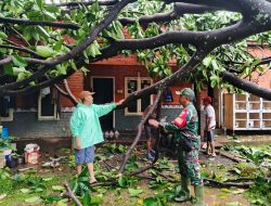 Babinsa Pantau Kondisi Bandar Lampung Pasca Hujan disertai Angin Kencang