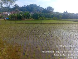 Komitmen TNI AD Dalam Mendukung Program Ketahanan Pangan Nasional