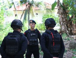 Fast Respon Tim Jibom Brimob Lampung Aman dan Musnahkan Granat Temuan di Polsek Padang Cermin