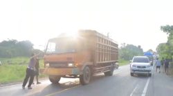 Polisi dan Warga Berhasil Hentikan Truk Rem Blong, Cegah Korban Jiwa di Tulang Bawang