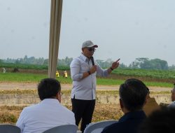Peninjauan Lokasi Pembangunan Pabrik Bioetanol dan Kawasan Pengembangan Bahan Baku Sorgum