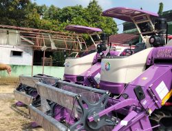 DTPH Serap Rp. 16 Miliar Lebih Bantuan Untuk Petani