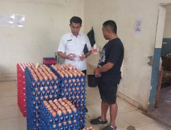 Kadis Disbunak Tanggamus Henri Fatra Kunjungi Kandang Ayam Percontohan CV. Ayyomi Farm