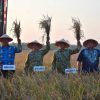 Danrem 043/Gatam Hadiri Panen Raya Nasional Bersama Presiden RI