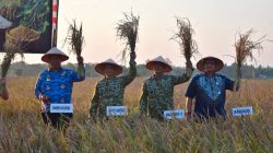 Danrem 043/Gatam Hadiri Panen Raya Nasional Bersama Presiden RI