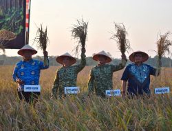 Danrem 043/Gatam Hadiri Panen Raya Nasional Bersama Presiden RI