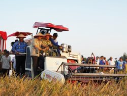 Gunakan Combine Harvester, Pangdam XXI/RI Panen Raya di Lampung Tengah