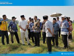 Dirjen Kemdiktisaintek Tinjau Calon Lokasi SMA Unggul Garuda di Lampung Selatan