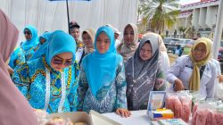 Ada Gebyar UMKM & Job Fair Untuk Umum Pada HUT ke-81 RI di Pemkab Lampura
