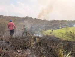 Kesigapan Babinsa dalam Respons Cepat Laporan Masyarakat