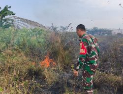 Respons Cepat Babinsa Sertu Ripian Bantu Padamkan Kebakaran Lahan Kosong di Rajabasa Jaya