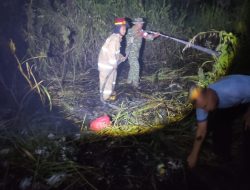 Babinsa dan Damkar Bersinergi Padamkan Kebakaran Lahan Kosong di Keteguhan