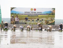 Tanam Perdana di Tulang Bawang, Danrem 043/Gatam Tegaskan Komitmen Swasembada Pangan
