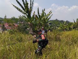 Aksi Cepat Babinsa Kodim 0410/KBL Bersama Damkar Padamkan Kebakaran Lahan di Bukit Sepagoh