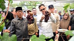 Harapan Baru Ekonomi Warga Mulai Berbuah, Ini Kata Mendes PDT