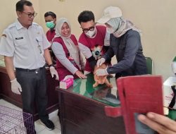 Hari Rabies, Bersama DPKH Lampung, Disbunak Lampura Vaksinasi 150 HPR