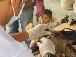 Karantina Lampung dan PDHI Gelar Vaksinasi Rabies Jemput Bola di Desa Legundi