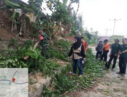 Pohon Tumbang Timpah Pengendara Sepeda Motor