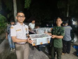 1.689 Burung Tanpa Dokumen Diamankan di Bakauheni, 57 di Antaranya Dilindungi