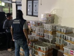 Minibus Tanpa Kursi Angkut 832 Burung Tanpa Dokumen, Diamankan Petugas Karantina di Bakauheni