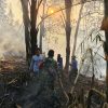 Babinsa Kelurahan Batu Putuk Bersinergi Padamkan Kebakaran Lahan Kosong