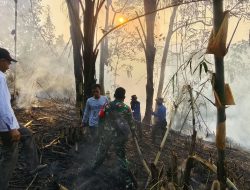 Babinsa Kelurahan Batu Putuk Bersinergi Padamkan Kebakaran Lahan Kosong