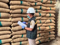 Ekspor Kopi Indonesia ke Italia Naik 91% Barantin Dorong Roasted Coffee Lampung Tembus Pasar Global
